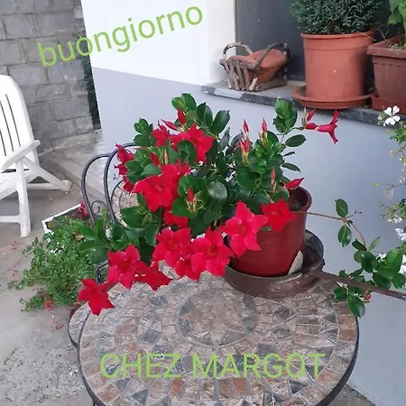 Chez Margot Шатийон