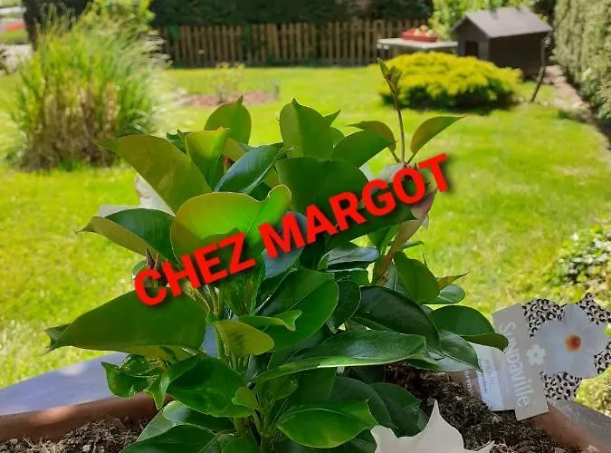 Chez Margot 公寓