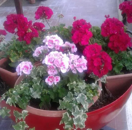 Chez Margot Châtillon