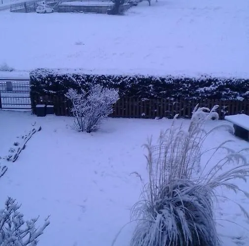 Chez Margot * 夏特林